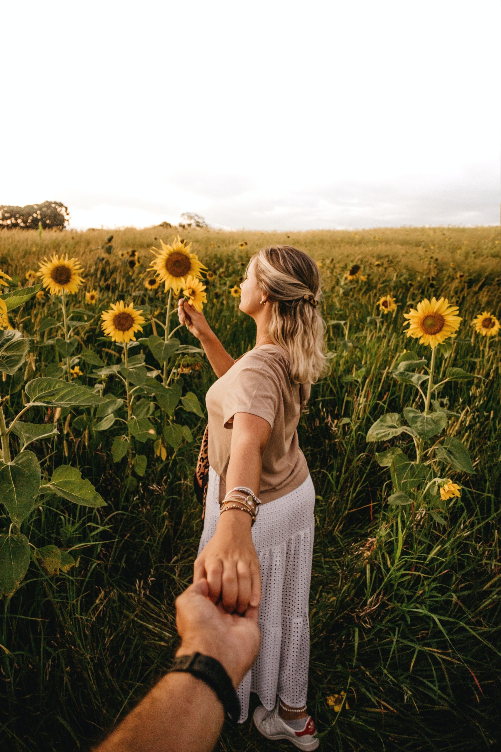 Woman in a beautiful field of sunflowers holding the hand of her significant other